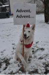 Advent,_Advent....jpg