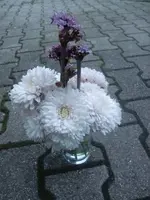 CIMG3949.webp