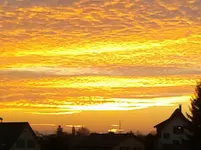 004.webp