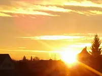 006.webp