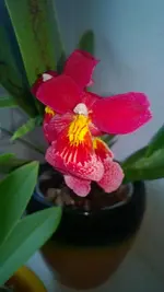 WP_20131208_001.webp