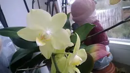 WP_20131208_010.webp