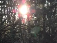 SAM_2575.webp