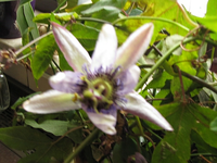IMG_3766.webp