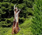 P1090737-WM-WM.webp