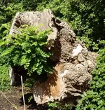 Holz5.webp