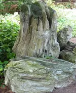 Holz6.webp