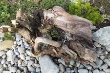 2012_1017Herbst0007.webp