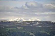 LandschaftN7.webp