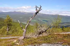 LandschaftN6.webp
