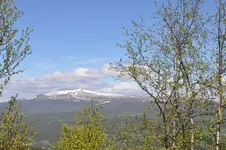 LandschaftN4.webp