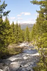 LandschaftN9.webp