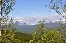 LandschaftN5.webp