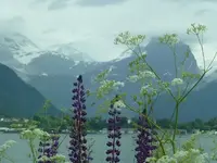 LandschaftN21.webp