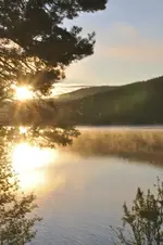 LandschaftN13.webp