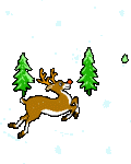 Rudolf4.gif