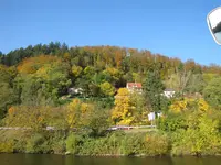 Bild 2029.webp