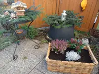 Winter6.webp