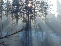 SAM_2594.webp