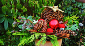 Weihnachtsgesteck_900.webp