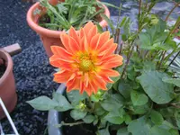 IMG_9853.webp
