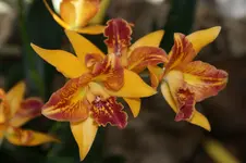 DSC06739.webp