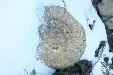2013_1211Herbst0002.webp