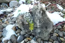 2013_1211Herbst0008.webp