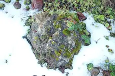 2013_1211Herbst0010.webp