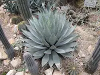 123.webp