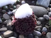 2011_1020Herbst0025.webp