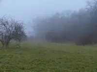 Nebel.webp
