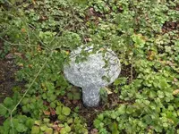 Bild 116.webp