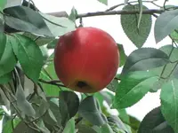 Bild 760.webp