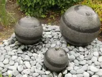 Bild 1688.webp