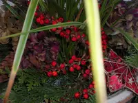 SAM_2608.webp