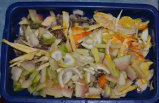 DSC_7607_Kuchenabfall_gesammelt.webp