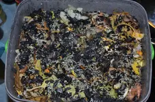 DSC_7616_Frisch_gefullt.webp