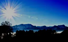 ganzdunkl.webp