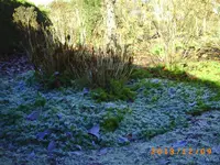dez01 011.webp