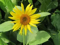 068.webp