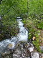 Wasser31.webp