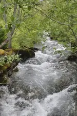 Wasser19.webp