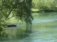 Wasser13.webp