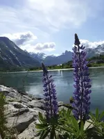Wasser14.webp