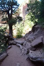 Holz18.webp