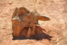 Holz32.webp