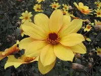 086.webp