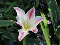 Bild 383.webp