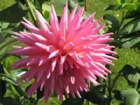 Bild 980.webp